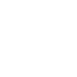 ce logo Salem